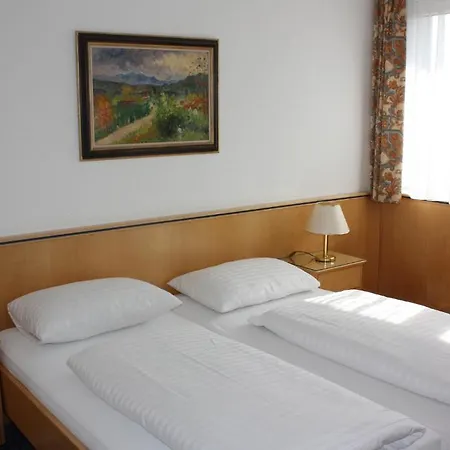Parkhotel Styria מלון 4*