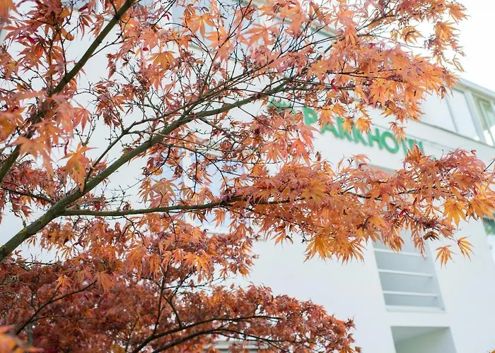 施蒂里亚公园酒店 酒店